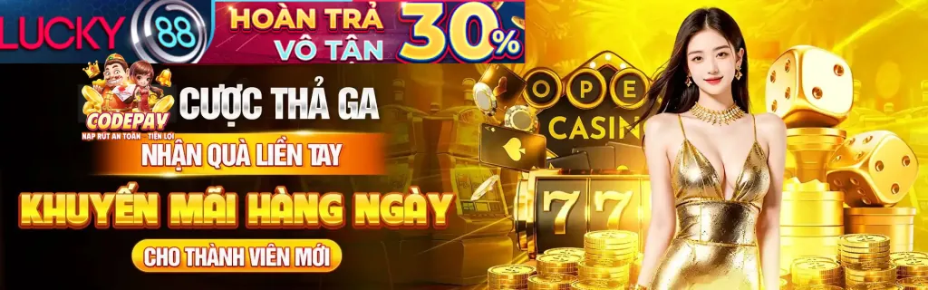 Hình ảnh minh họa quản lý cài đặt cookie tại VE99