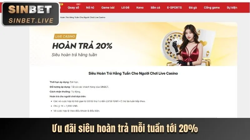 Tổng quan các trò chơi Slot đa dạng tại VE99 với giao diện hiện đại và nhiều lựa chọn.